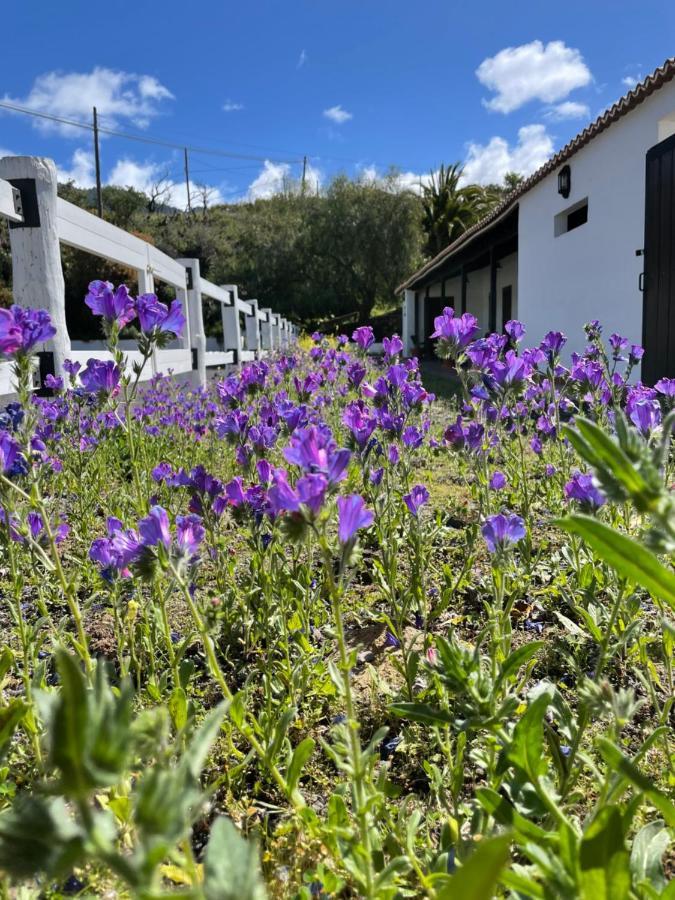 Villa Montana Colorada El Paso Bagian luar foto